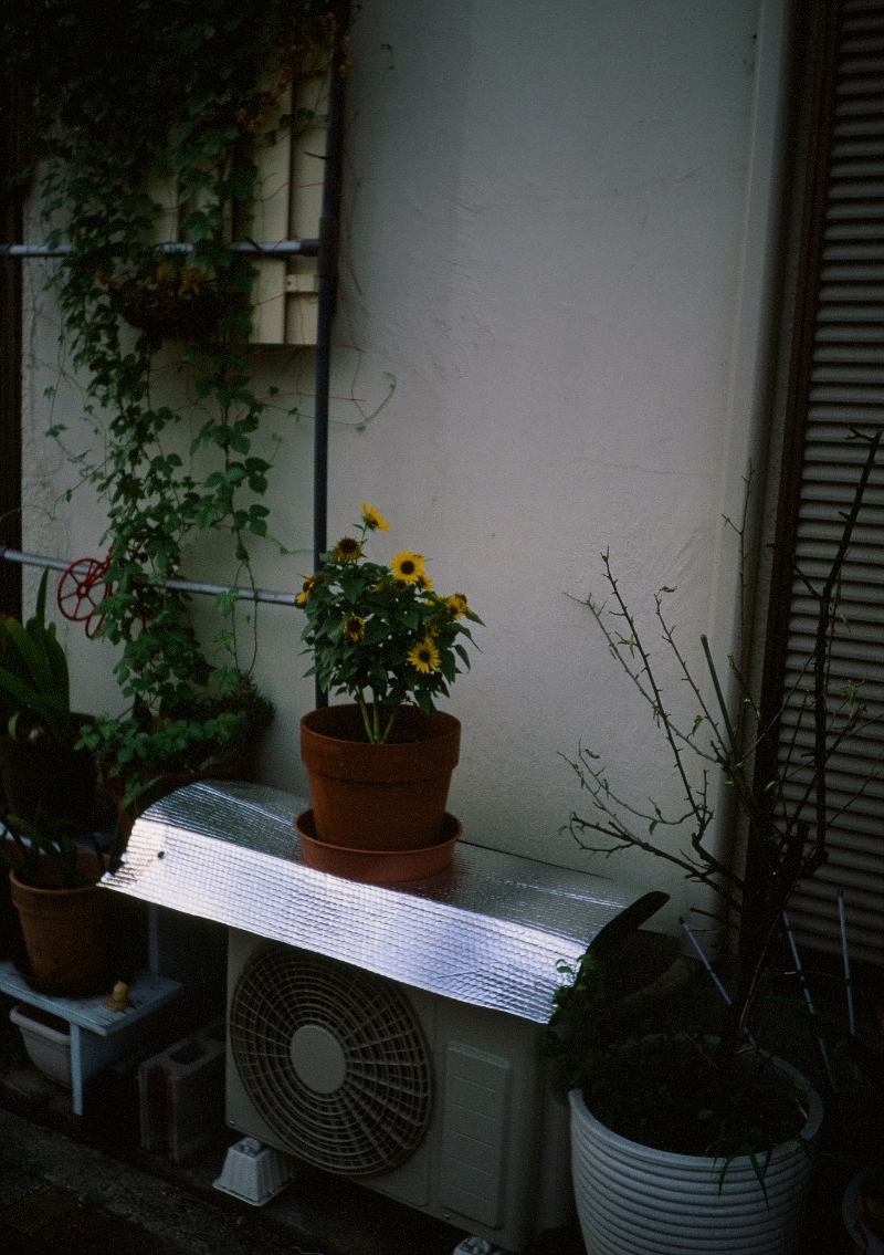 写真18